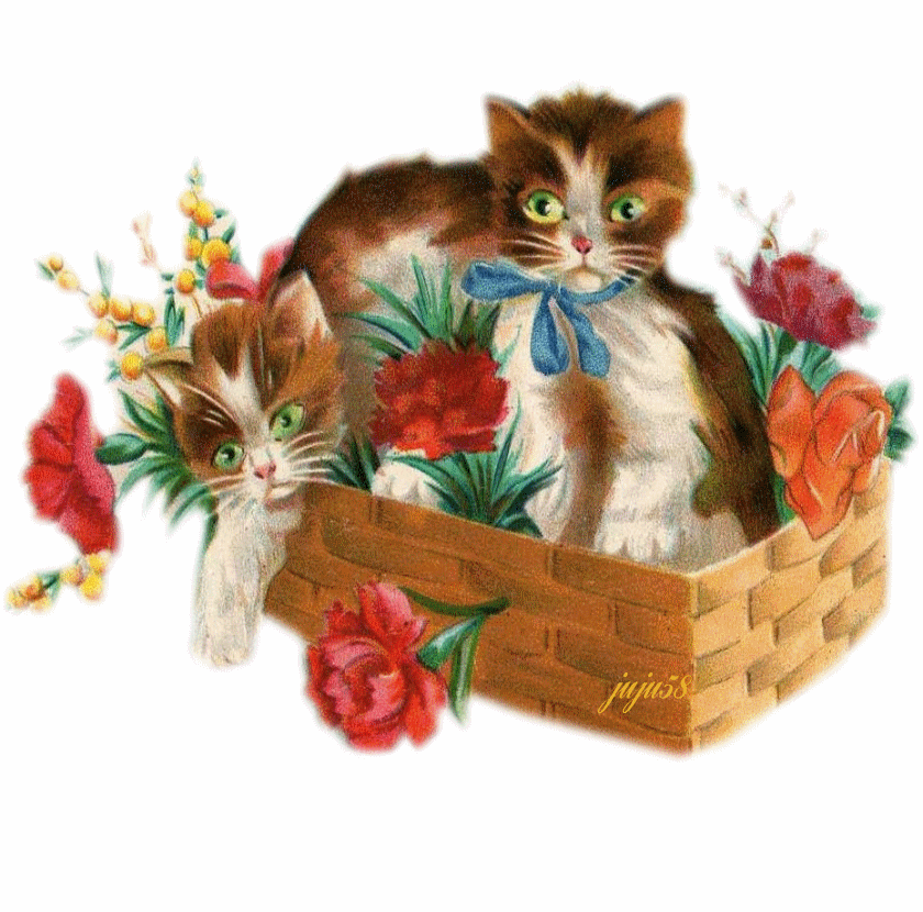 gif chatons et fleurs