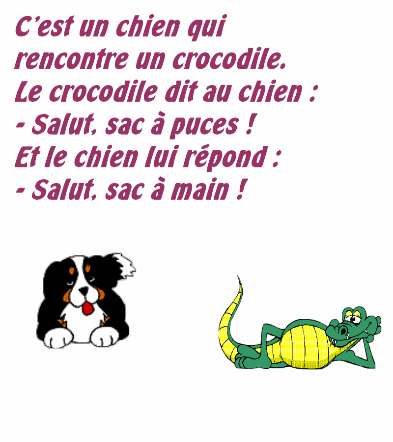 blague "animaux"