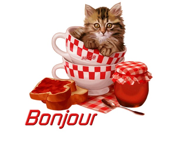 Création bonjour