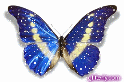 papillon bleu et jaune